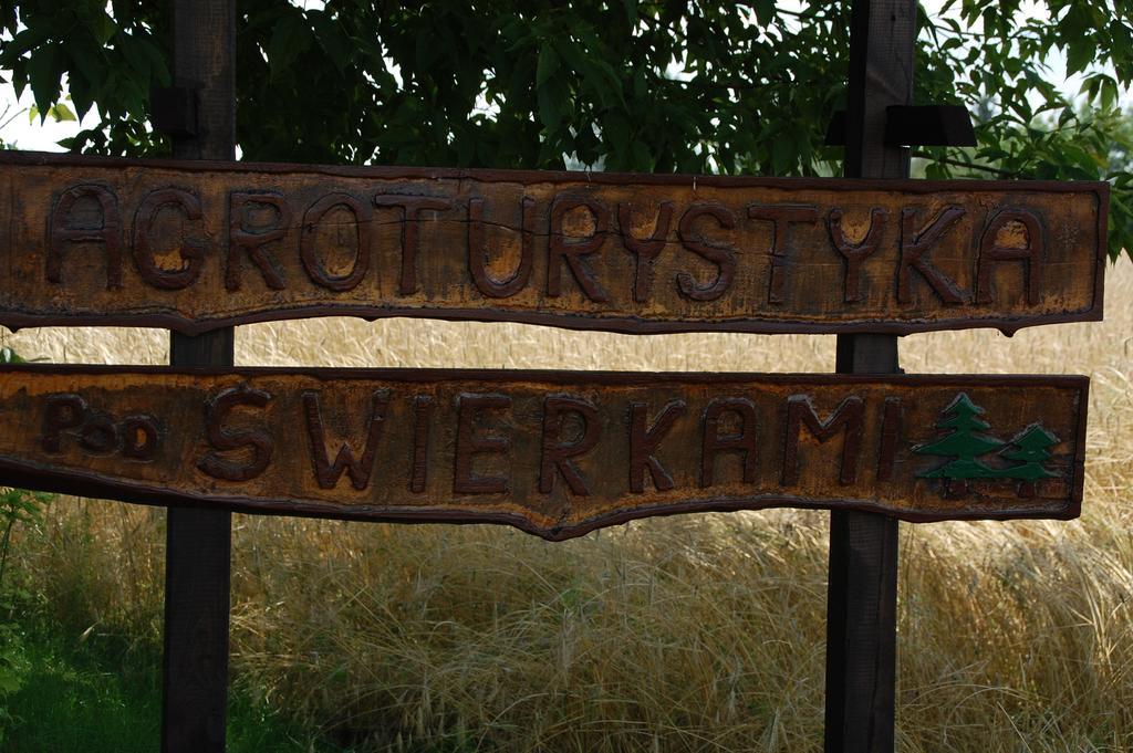 Agroturystyka Pod Swierkami Nadrybie Dış mekan fotoğraf