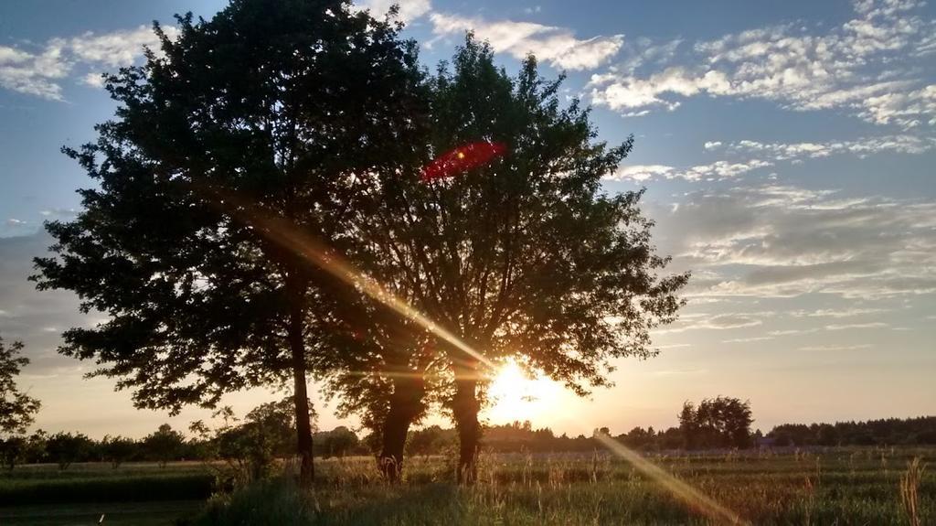 Agroturystyka Pod Swierkami Nadrybie Dış mekan fotoğraf