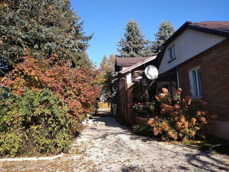 Agroturystyka Pod Swierkami Nadrybie Dış mekan fotoğraf